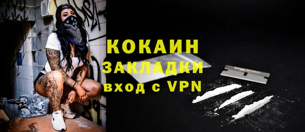 ПСИЛОЦИБИНОВЫЕ ГРИБЫ Бородино