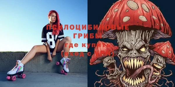 гидропоника Бугульма