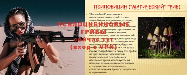 гидропоника Бугульма