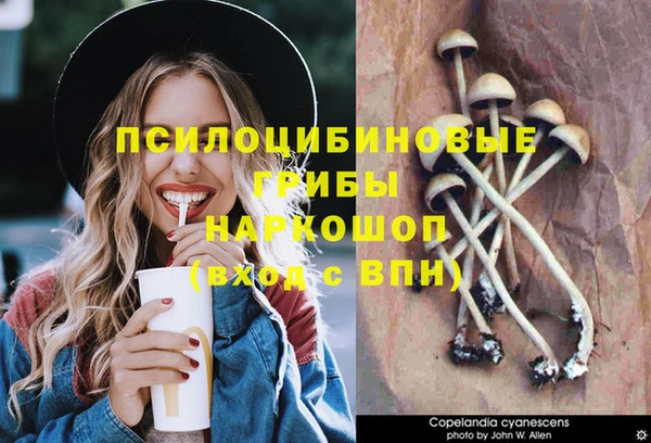 ПСИЛОЦИБИНОВЫЕ ГРИБЫ Бородино