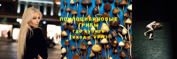 ПСИЛОЦИБИНОВЫЕ ГРИБЫ Бородино