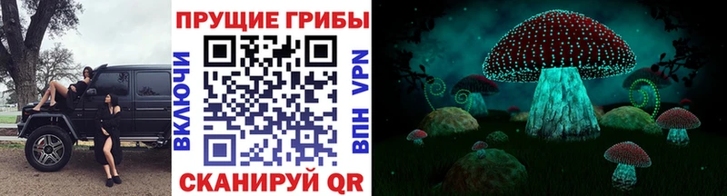 Галлюциногенные грибы GOLDEN TEACHER  хочу   Вихоревка 